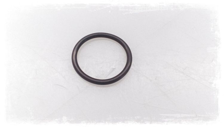 Original BMW O-Ring  (33111210739)