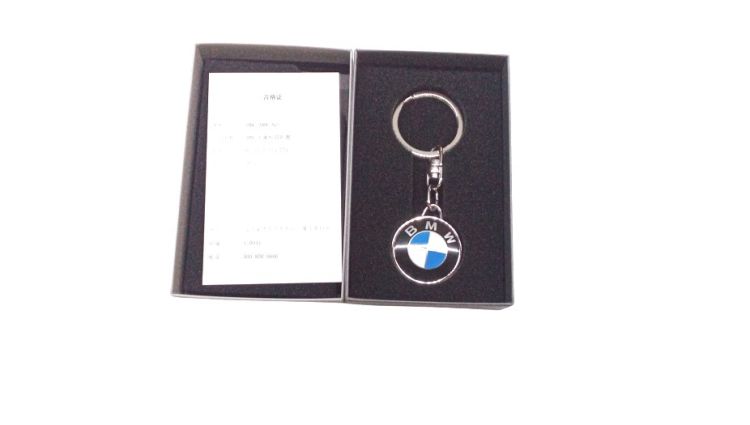 BMW Schlüsselanhänger Logo gross 