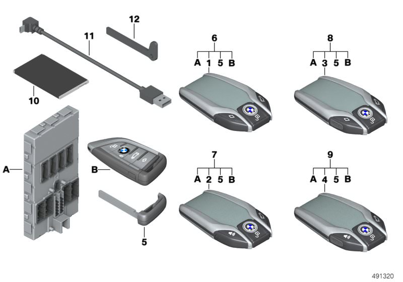 BMW Display KeyBMW 5er G31 434 MHZ RCP