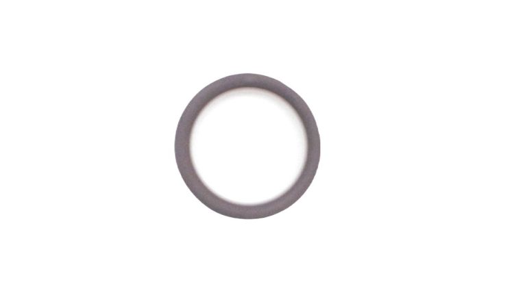 O-Ring +0,30