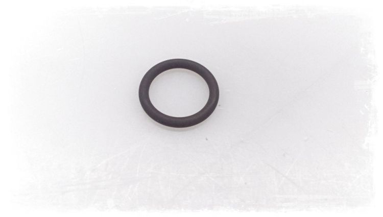 O-Ring, Nummer 10 in der Abbildung