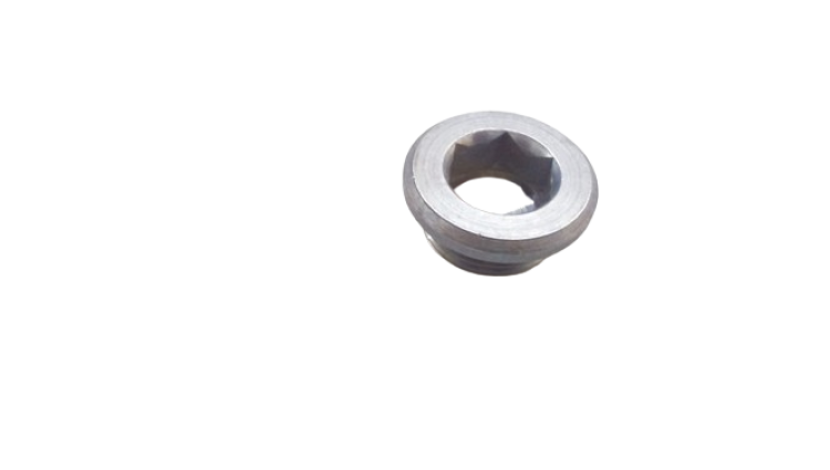 Verschlussschraube mit O-Ring, Nummer 15 in der Abbildung