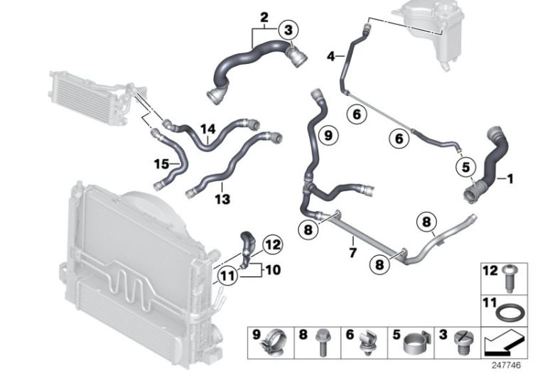 Cooling System Water Hoses ->53261170593