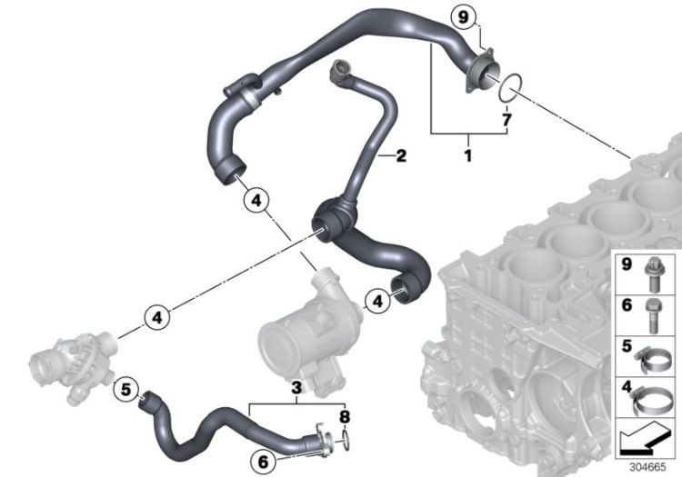 Cooling System Water Hoses ->55070115169