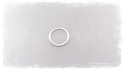 Gasket ring A16X20-CUSN