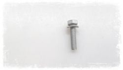 Hex bolt with washer M6X25-Z3