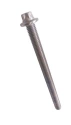 Vite torx M8x110 (11137800625)