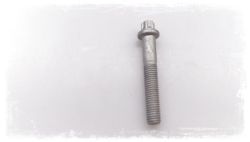 Vite torx M12X75 (23001222893)