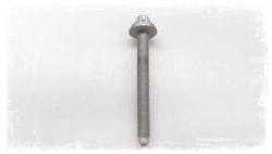 ASA bolt with washer M14x127-10.9