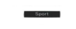 Scritta laterale Sport Line (51147418528)