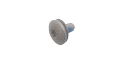 Torx-bolt with washer M6x12